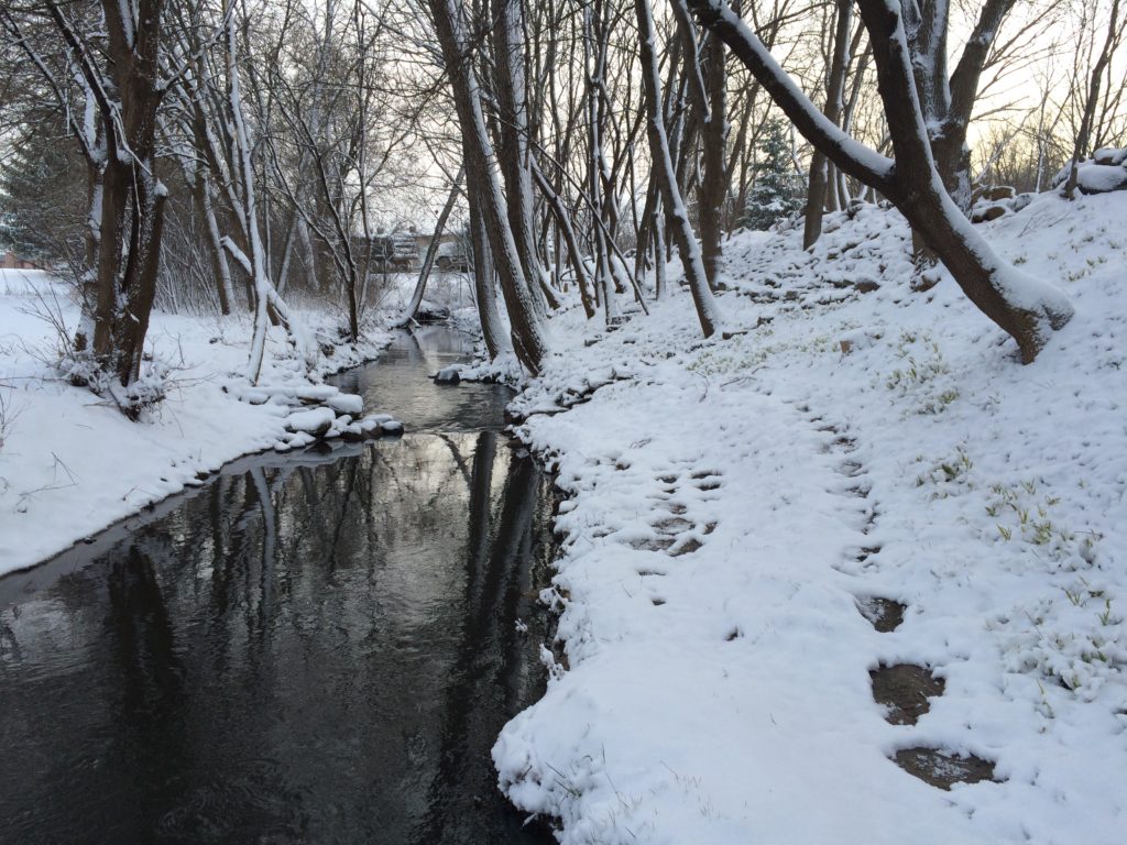 KenMar's Private Photo Park