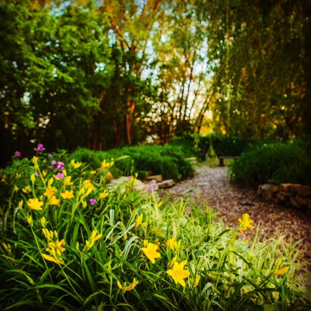 Click here to see exclusive outdoor photo park options